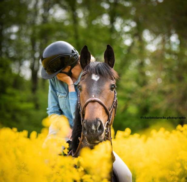 "Je me suis rendu dans l’une d’entre elles par curiosité et je me suis pris de passion pour ces chevaux" "Je me suis rendu dans l’une d’entre elles par curiosité et je me suis pris de passion pour ces chevaux"