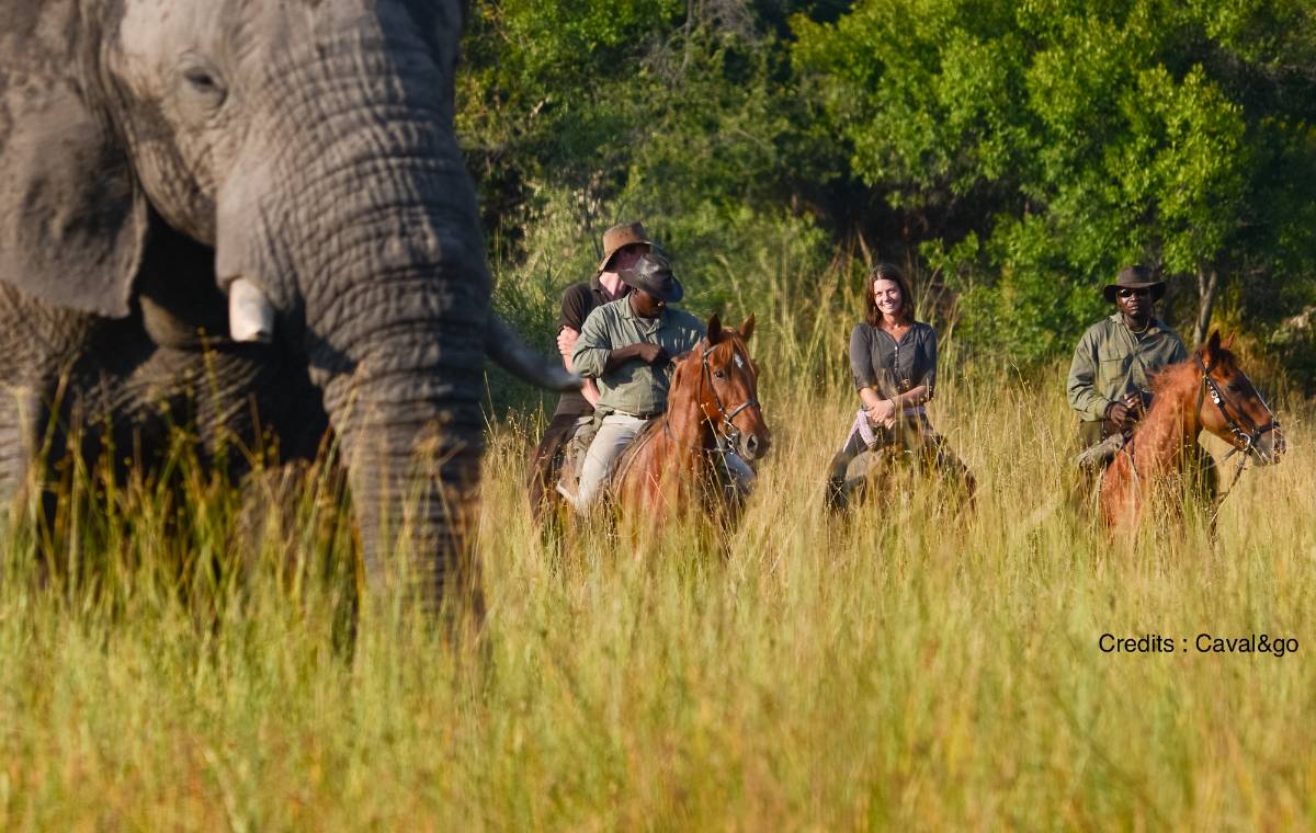 Faire un safari à cheval : pourquoi pas vous ? 