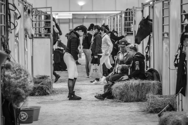 La préparation physique du cavalier La préparation physique du cavalier
