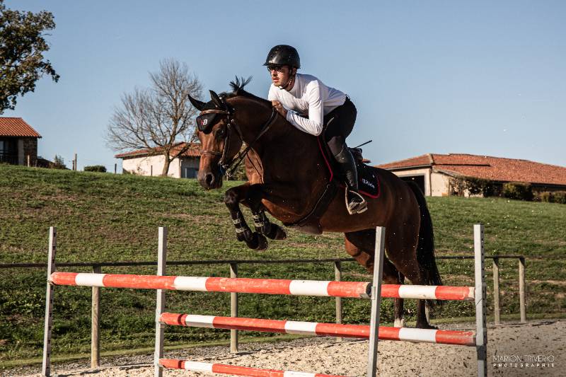Choisir un mors adapté à son cheval Choisir un mors adapté à son cheval