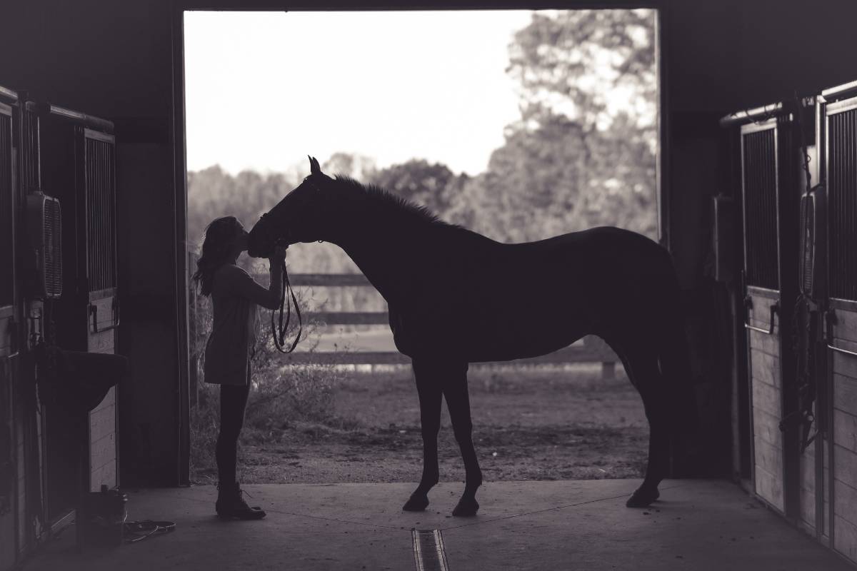 "L’Assurance, la garantie d’un réel bien-être pour nos chevaux"