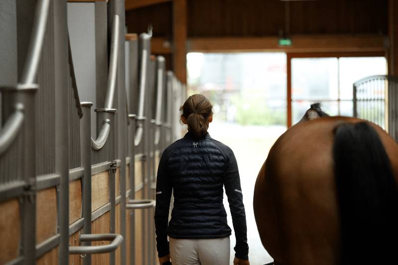 Demain, on célèbre le cheval ! Demain, on célèbre le cheval !