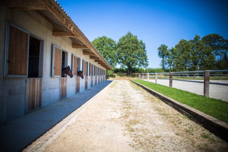 Loire-Atlantique : notre sélection des 10 écuries qui proposent des chevaux et des poneys en demi-pension
