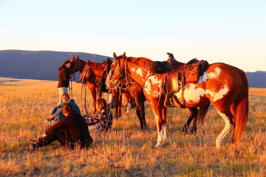 IMMERSION dans un ranch au Montana (USA)