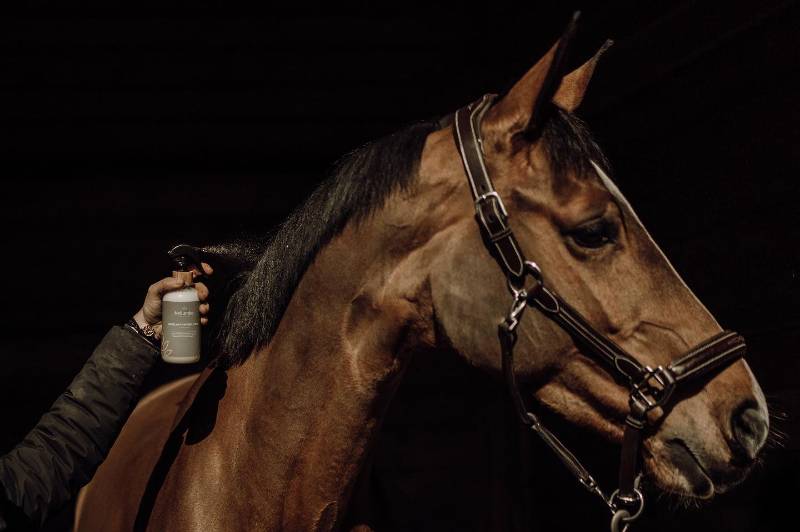 Quand le 100% d'origine naturelle s'immisce dans les soins de nos chevaux Quand le 100% d'origine naturelle s'immisce dans les soins de nos chevaux