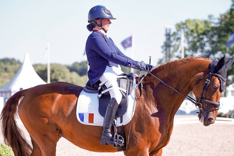 Aujourd'hui... j'ai révisé mes fondamentaux grâce aux cavaliers de para-dressage Aujourd'hui... j'ai révisé mes fondamentaux grâce aux cavaliers de para-dressage