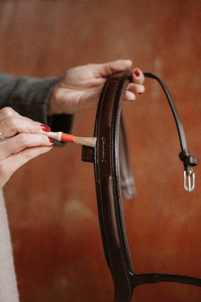Le confort du cheval passe aussi par l'utilisation d'un bon filet Le confort du cheval passe aussi par l'utilisation d'un bon filet